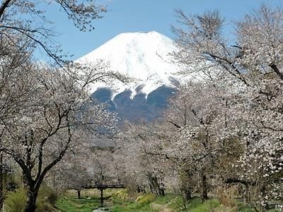 Pension Sumomo No Ki Oshino Ngoại thất bức ảnh